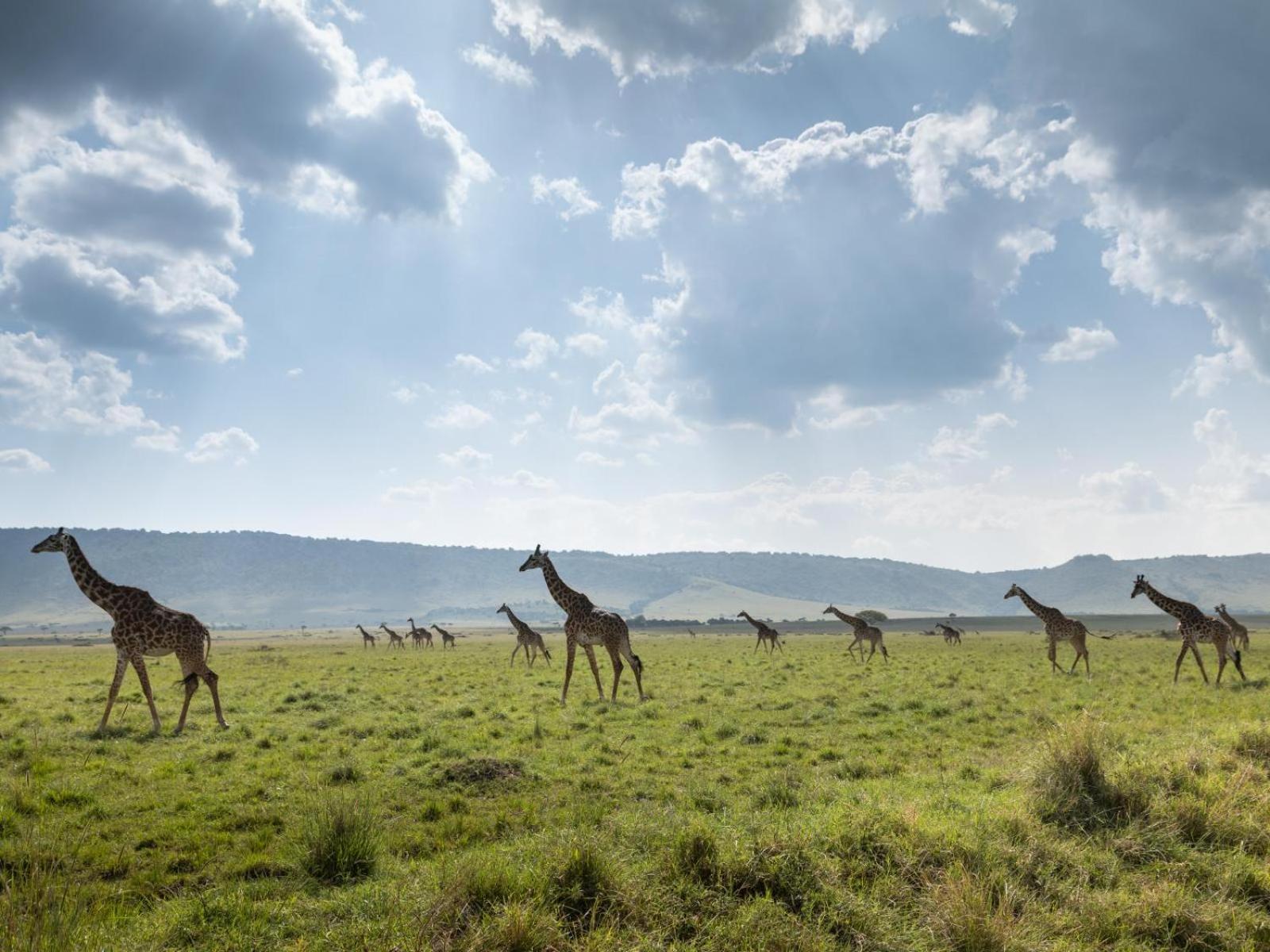 Kilima Camp - Safari In Masai Mara Villa Lolgorien Kültér fotó