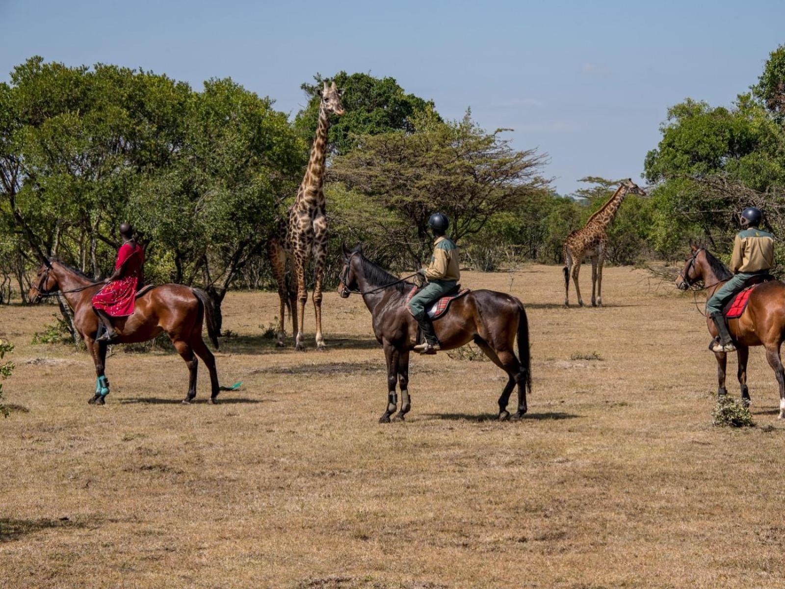 Kilima Camp - Safari In Masai Mara Villa Lolgorien Kültér fotó